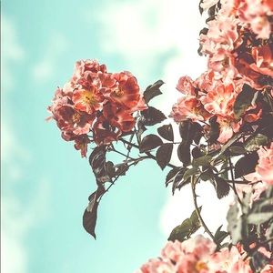 Meet your Posher, Tamara